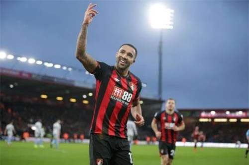 Tiền đạo: Callum Wilson (Bournemouth).