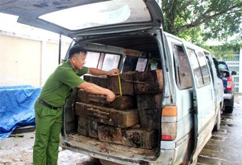 Tình trạng vận chuyển, buôn bán gỗ lậu dịp Tết