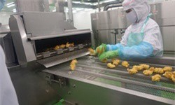 Thị trường xuất khẩu thịt gà của Việt Nam có hướng đi mới