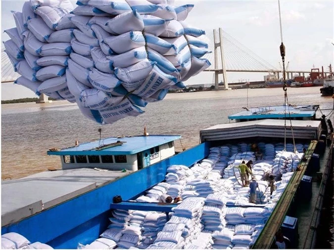 Xuất khẩu gạo đóng góp giá trị kim ngạch lớn cho ngành nông nghiệp. Ảnh: PV