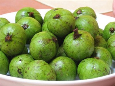 Ăn quả sấu giải rượu, trị đau họng