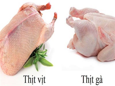 Ăn thịt gà hay thịt vịt tốt hơn?