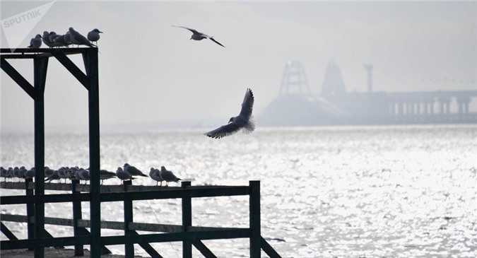 "Crimea không có gì phải giấu giếm cả" 