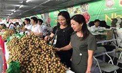 Cơ hội xuất khẩu sang thị trường Australia của Việt Nam 