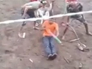 CLIP: Chàng trai ngồi im thách thức bò tót và cái kết thảm