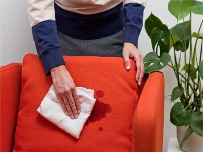 Các cách làm sạch ghế sofa chuẩn bị đón Tết