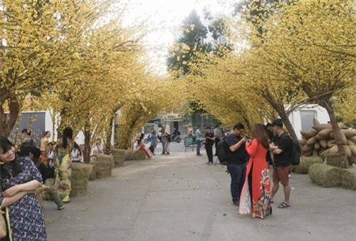 Địa điểm sống ảo của giới trẻ Sài Gòn dịp Tết nguyên đán 2019