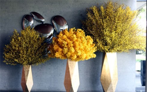 Mai Mỹ chưng Tết cả trăm triệu đồng vẫn hút khách chơi