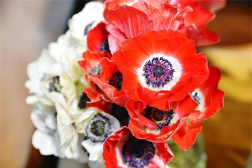 Hoa “độc”, lạ ồ ạt về Sài Gòn phục vụ Tết