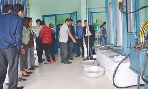 Đẩy mạnh xây dựng HTX sản xuất gắn với chuỗi giá trị