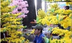 CLIP: Hoa đào, hoa mai giả giá 'cắt cổ' vẫn đắt khách ngày Tết 