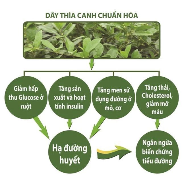 Ăn nhiều miến dịp tết, người tiểu đường tăng nguy cơ nhập viện? - 3