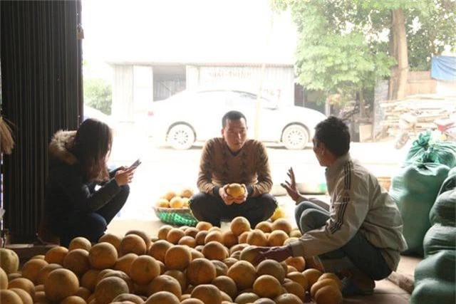 Hoa quả Tết: Hái tận vườn, bán giá khủng vẫn “cháy hàng” - 5