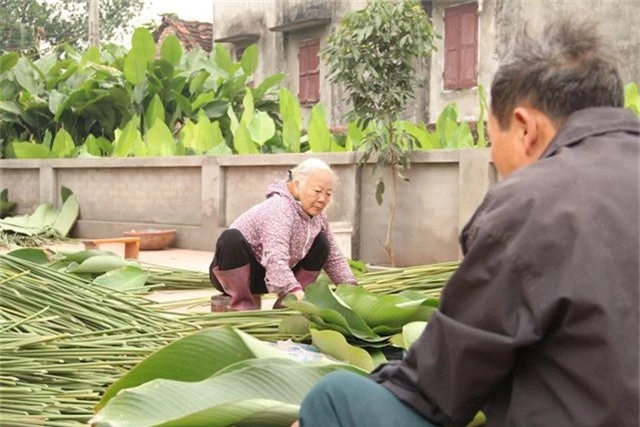 Làng lá dong lớn nhất Hà Nội tất bật vào vụ Tết - 6