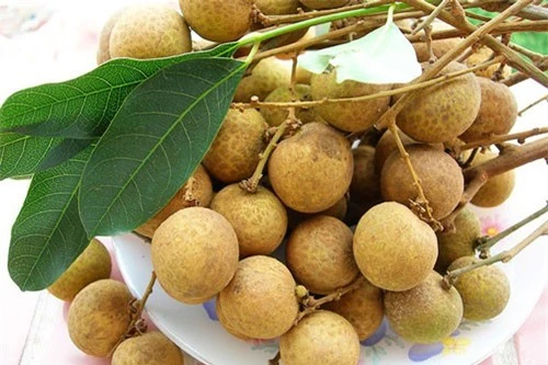 nhãn lồng tươi