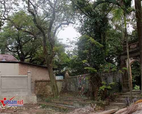 Trưởng thôn bị tố bán cành sưa trăm tỷ: Số tiền bán được đang ở đâu?