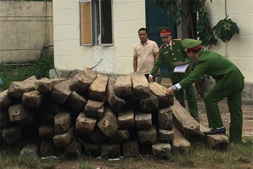 Quảng Bình: Cất dấu 59 hộp gỗ lậu trong nhà vẫn bị phát hiện