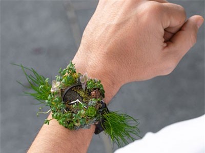 CLIP: Mới lạ với bộ sưu tập đồng hồ từ hoa cỏ thật