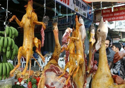 Công chức không sử dụng, nhận quà biếu là động vật hoang dã nguy cấp