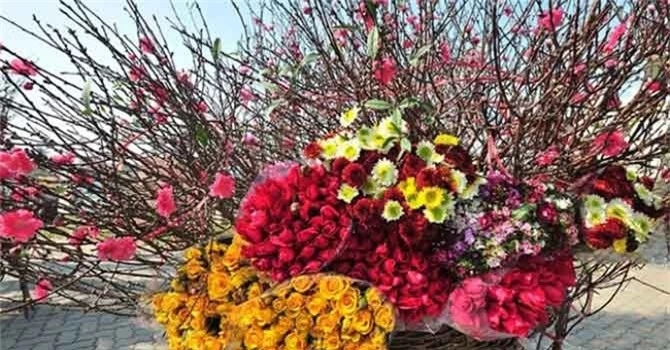 Đối với việc lựa chọn hoa chơi Tết thì việc lựa chọn hoa nở phải đúng dịp Tết, hoa đẹp, hoa sai, màu sắc rực rỡ. Đặc biệt, người chơi hoa cũng dần quan tâm nhiều hơn tới yếu tố phong thủy của hoa, với mong muốn có một năm mới thuận lợi, nhiều may mắn, hạnh phúc, sức khỏe, tài lộc và xua đuổi những vận khí xấu xung quanh. Cùng điểm mặt ý nghĩa của 9 loại hoa mang lại nhiều may mắn, tài lộc cho gia chủ dịp đầu năm mới. Đối với việc lựa chọn hoa chơi Tết thì việc lựa chọn hoa nở phải đúng dịp Tết, hoa đẹp, hoa sai, màu sắc rực rỡ. Đặc biệt, người chơi hoa cũng dần quan tâm nhiều hơn tới yếu tố phong thủy của hoa, với mong muốn có một năm mới thuận lợi, nhiều may mắn, hạnh phúc, sức khỏe, tài lộc và xua đuổi những vận khí xấu xung quanh. Cùng điểm mặt ý nghĩa của 9 loại hoa mang lại nhiều may mắn, tài lộc cho gia chủ dịp đầu năm mới.