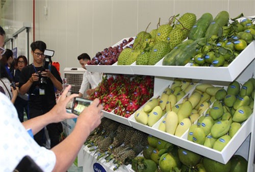 Đằng sau 'cơn sóng' trái cây nhập