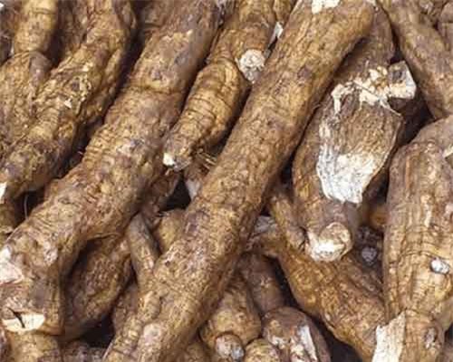 Xuất khẩu sắn mất mốc 1 tỷ USD