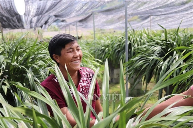 hoa tet: trai sa pa kiem bon tien tu dia lan tran mong dai ca met hinh anh 2