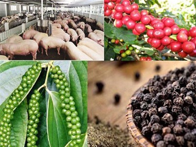 Xuất khẩu rau quả, gạo, thịt heo sang Trung Quốc dự báo gặp khó trong năm 2019