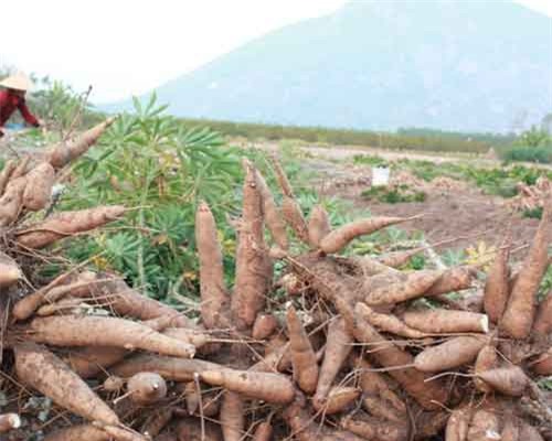 5 loại thực phẩm chớ bao giờ ăn sống