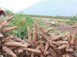 5 loại thực phẩm chớ bao giờ ăn sống
