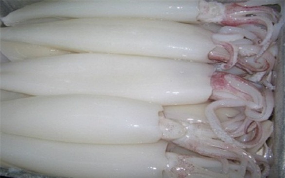 2018 - Năm suôn sẻ của các nhà xuất khẩu mực, bạch tuộc Việt Nam 