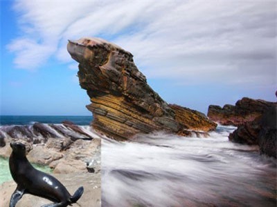 Bí ẩn những vật thể khoác dung mạo động vật cực lạ