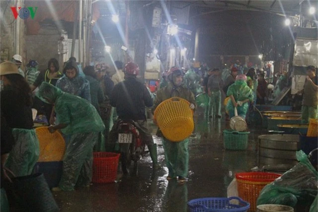 Chợ cá lớn nhất Hà Nội nhộn nhịp trước lễ ông Công ông Táo - Ảnh 2.