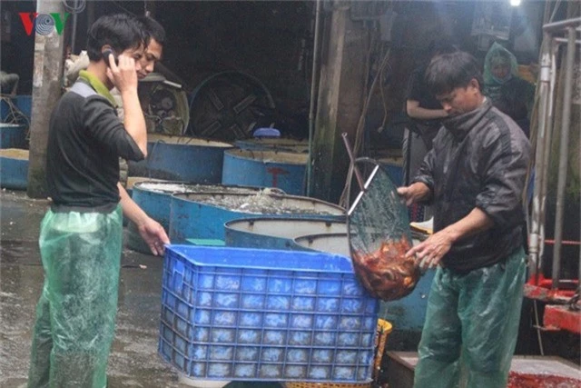 Chợ cá lớn nhất Hà Nội nhộn nhịp trước lễ ông Công ông Táo - Ảnh 7.