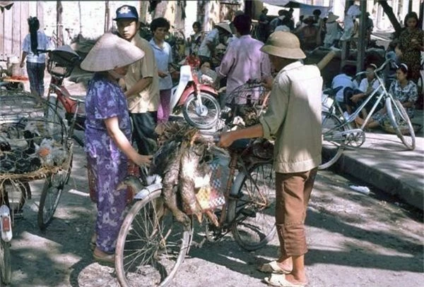 Chợ cóc những năm 1991 rất phổ biến ở Hà Nội. Người ta có thể mang đủ thứ ra chợ bán rong, từ gia cầm gà vịt tới hoa quả, thịt cá...