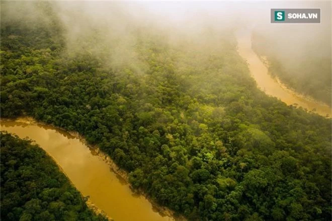 Hành trình đáng ngạc nhiên tiết lộ mặt trái ở rừng Amazon - Ảnh 1.