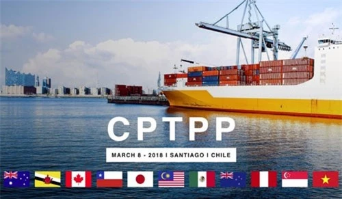 CPTPP xét về tổng thể là có lợi cho Việt Nam. Nguồn: internet