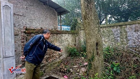 Bất ngờ lộ cây sưa đỏ trăm tuổi được cả làng giấu kín