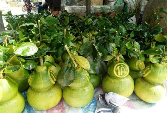 Bưởi, dưa hấu in chữ cả triệu/trái vẫn 'cháy' hàng
