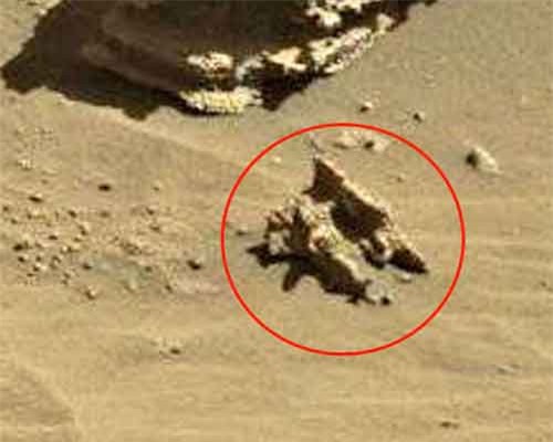 Phát hiện hóa thạch người cổ trên sao Hỏa?