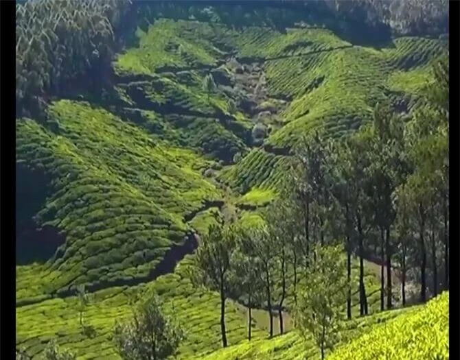 Với vẻ đẹp hùng vĩ, hoang sơ, Kerala (Ấn Độ) không thể vắng mặt trong danh sách bình chọn.