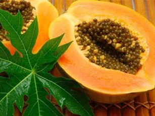Những lợi ích tuyệt vời của đu đủ cho sức khỏe