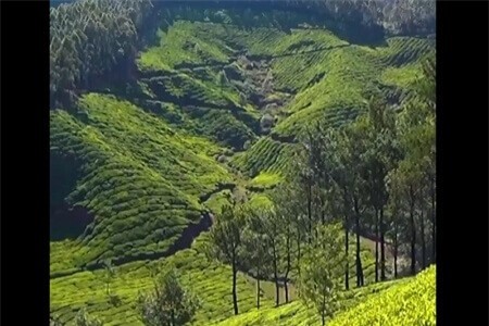 Clip: Bỏ túi 19 điểm du lịch nên đến nhất thế giới 2019