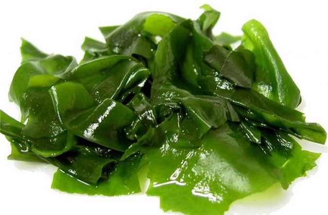 Rong biển có rất nhiều tác dụng tốt. Rong biển có rất nhiều tác dụng tốt.