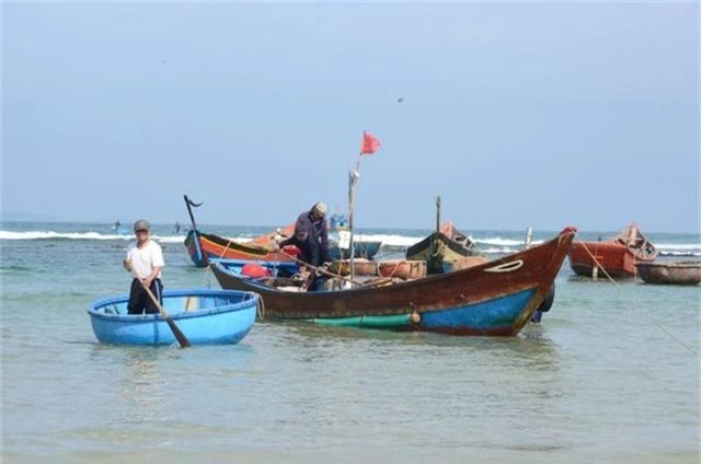 Cận Tết, ngư dân Quảng Ngãi trúng đậm lộc biển - 1