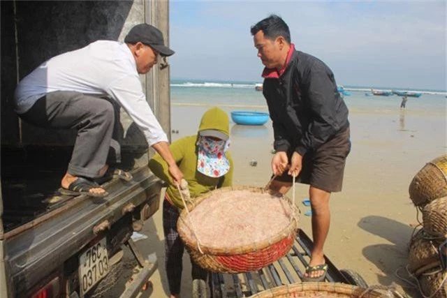 Cận Tết, ngư dân Quảng Ngãi trúng đậm lộc biển - 5