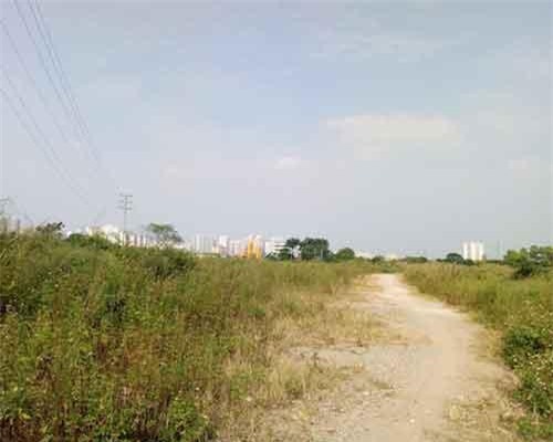 Ph&#x1B0;&#x1A1;ng ph&#xE1;p x&#xE1;c &#x111;&#x1ECB;nh gi&#xE1; &#x111;&#x1EA5;t v&#x1EAB;n c&#xF2;n l&#xE0; &#x1EA9;n s&#x1ED1;