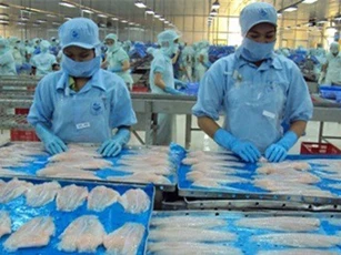 Xuất khẩu cá tra sang Mỹ năm 2018: Nhiều bất ngờ hơn dự kiến