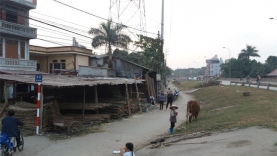 Đề xuất sửa đổi quy định xử phạt vi phạm về phòng, chống thiên tai, bảo vệ đê điều