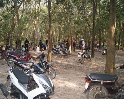 Hàng loạt sòng bạc quy mô 'phục vụ Tết' bị đánh sập